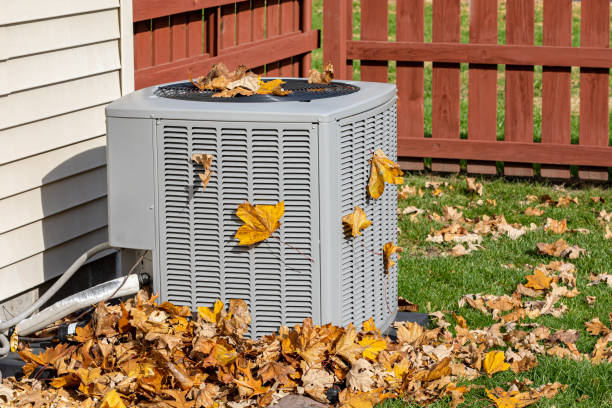 Best HVAC air duct cleaning  in Rm Beach, WA